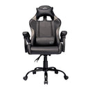 Cadeira Gamer Ergonômica - TGT Heron TC2